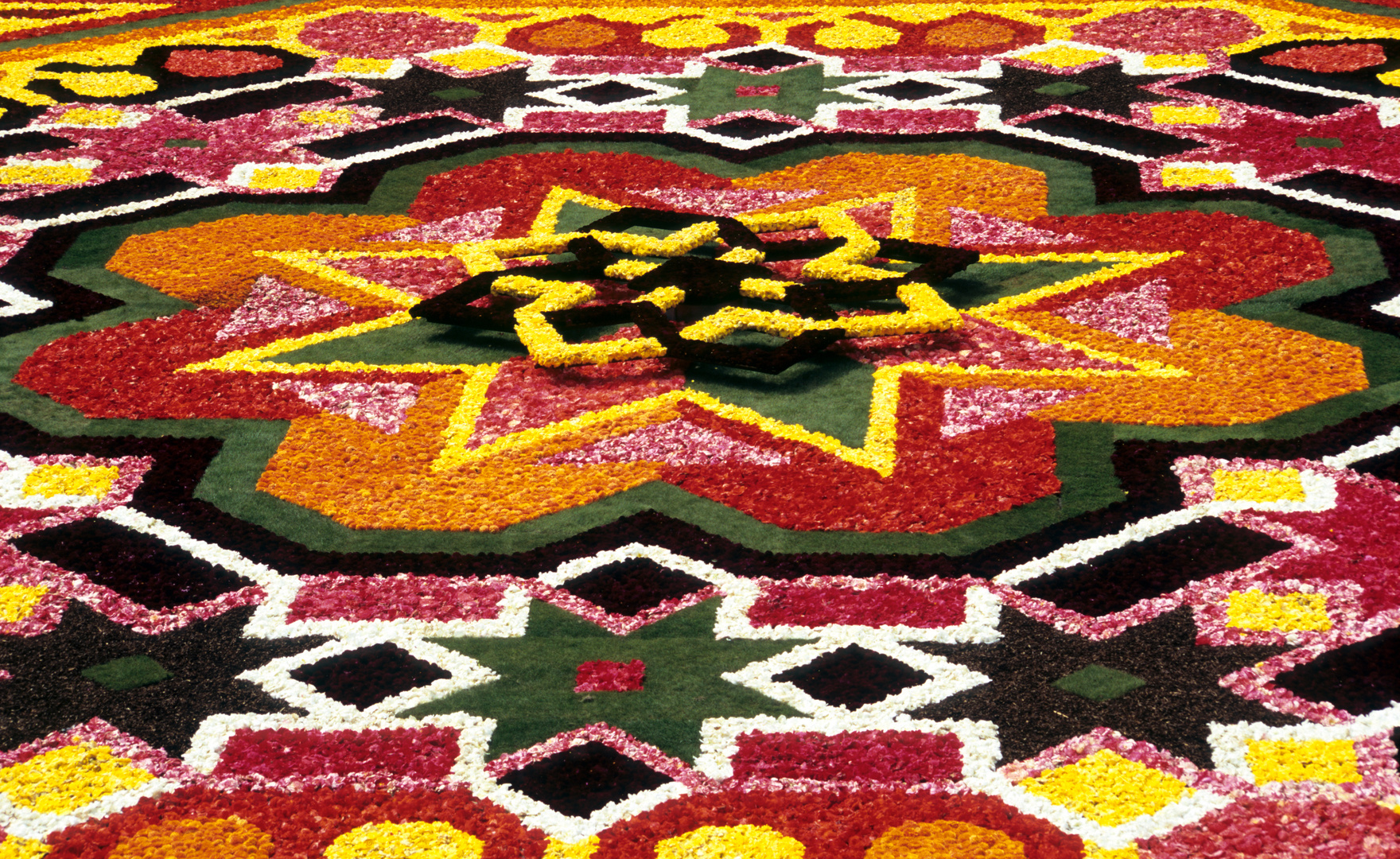 Le tapis de fleurs à Bruxelles sur la Grand-Place, un décor unique renouvelé tous les deux ans. © Alison Cornford, Fotolia